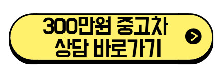 300만원-중고차-상담-바로가기