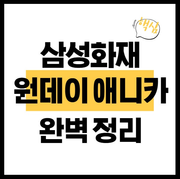 삼성화재-원데이-애니카-완벽-정리
