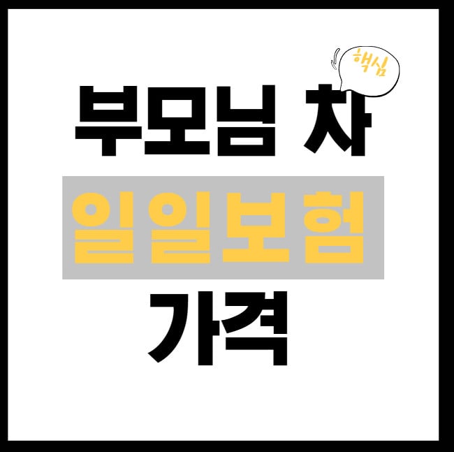부모님-차-일일보험-가격